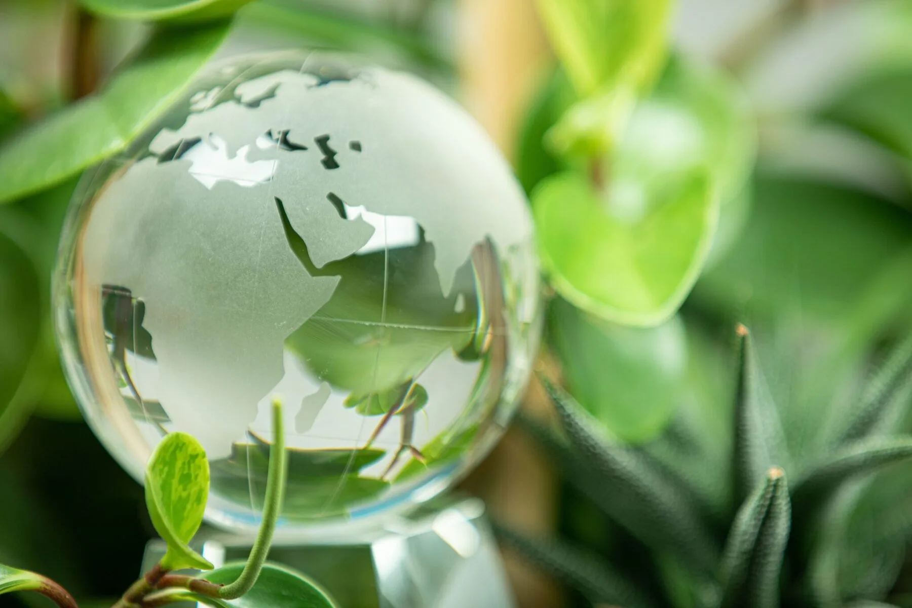 Défis développement durable