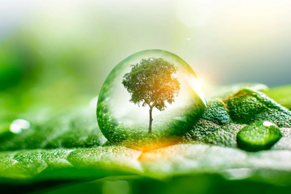 Stratégie bas carbone