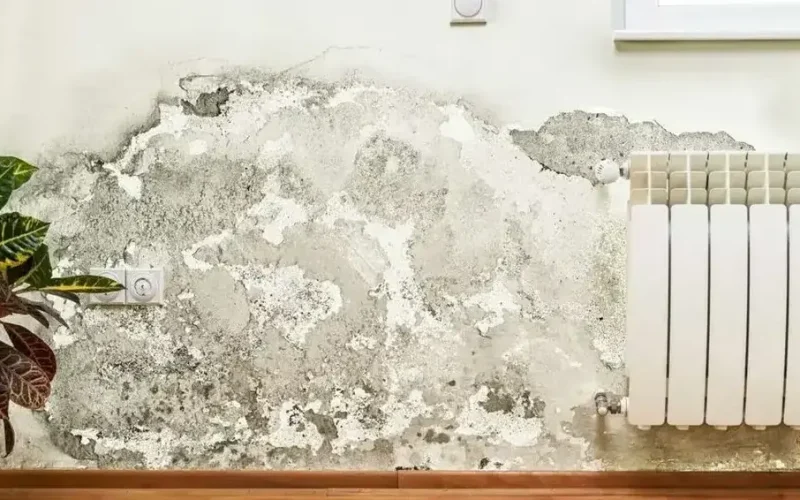 Traiter le salpêtre : solutions et conseils